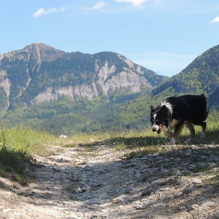 Le Colombier Bed & Breakfast Glandage ภายนอก รูปภาพ