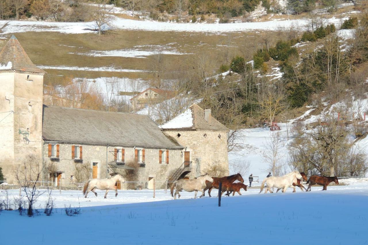 Le Colombier Bed & Breakfast Glandage ภายนอก รูปภาพ